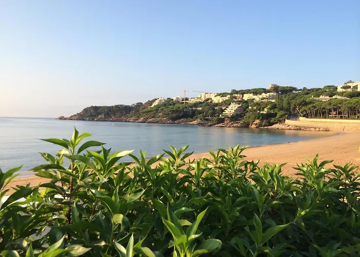 Vista Mar 5 Personas Con Parking Y Aire Acondicionado En S'agaro - Es-298-4 Апартаменти *